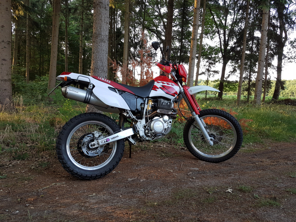 Yamaha TT600R
